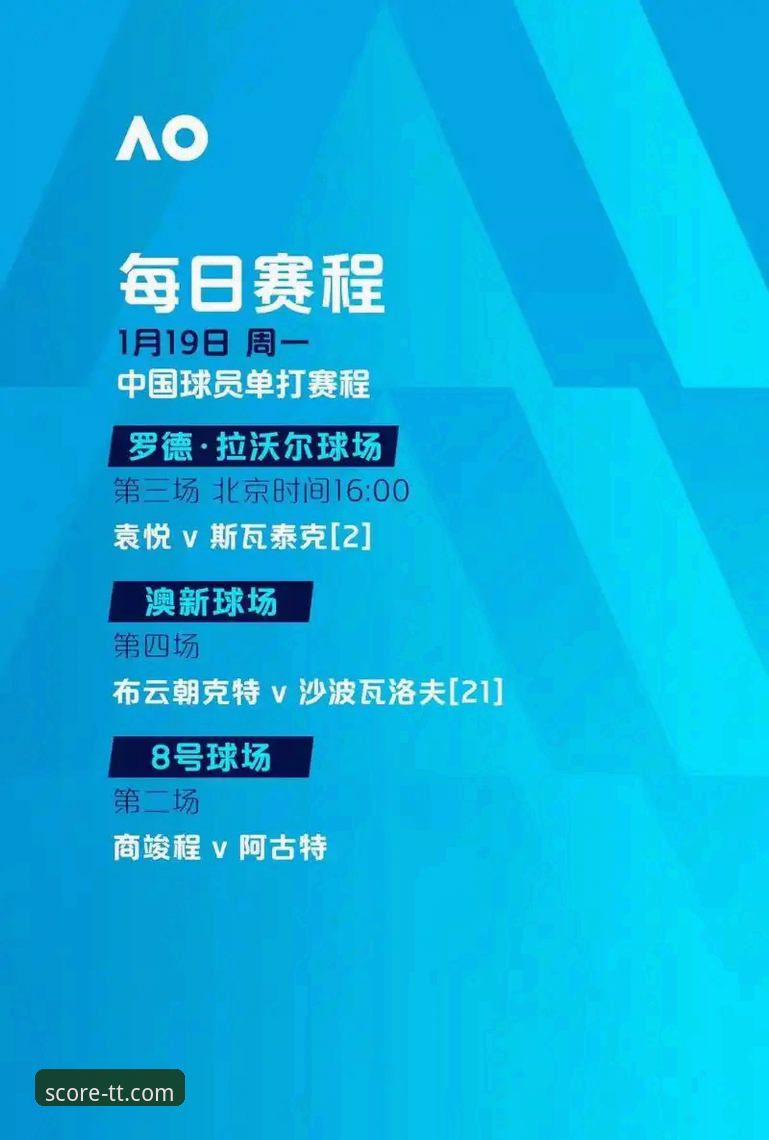 捷克20年后重返世界杯舞台，球探体育比分用户深度解析这场史诗级附加赛